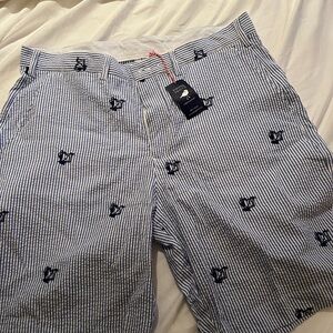 FIGAWI Blue Striped Men's Flat Front Shorts